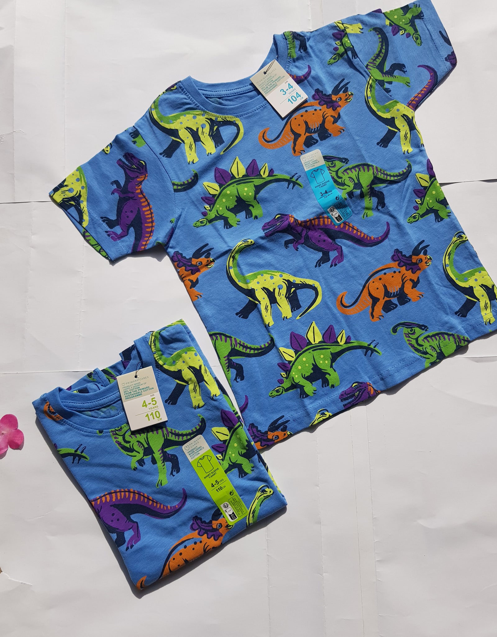 Primark Boys Short Sleeved Dino Print T-Shirt.