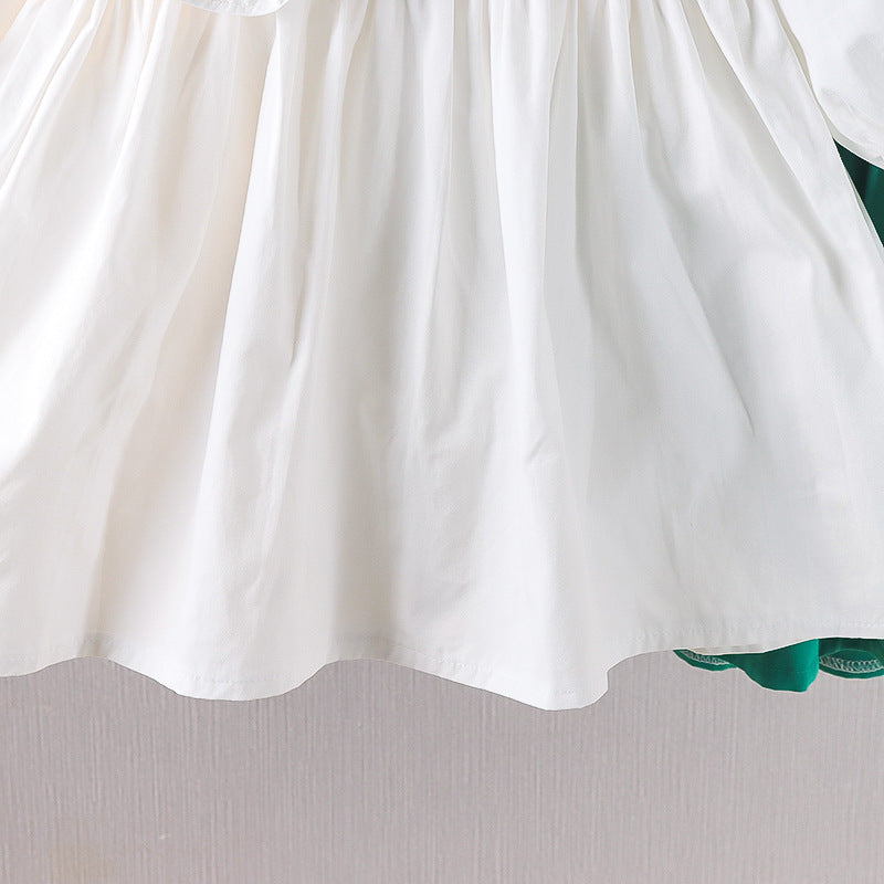 Flower Appliqué Lapel Collar Dress