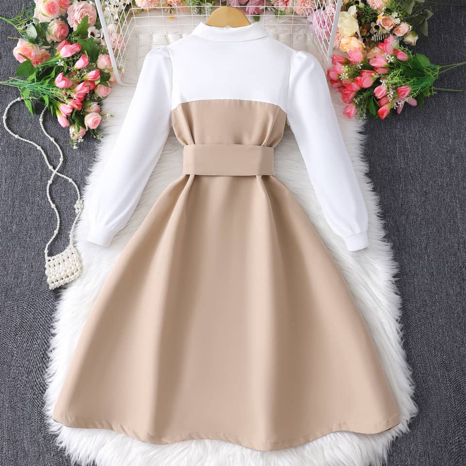 Collar Charm Belted Button Dress