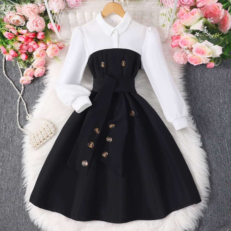 Collar Charm Belted Button Dress