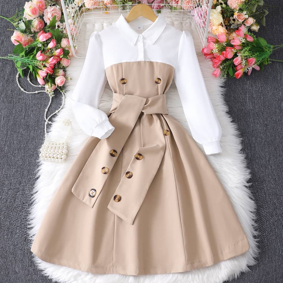 Collar Charm Belted Button Dress