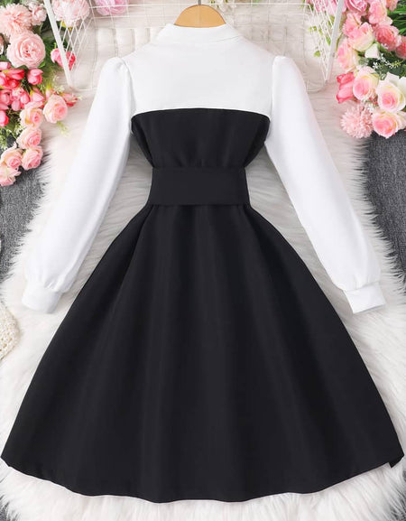 Collar Charm Belted Button Dress