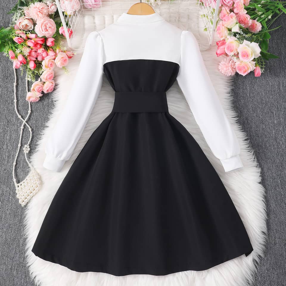Collar Charm Belted Button Dress