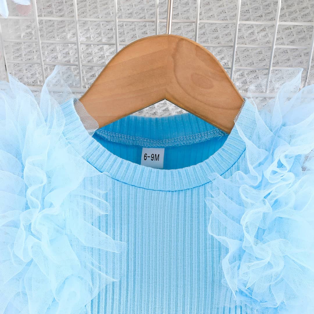 Whimsy Tulle Shoulders Two Piece Skirt Set