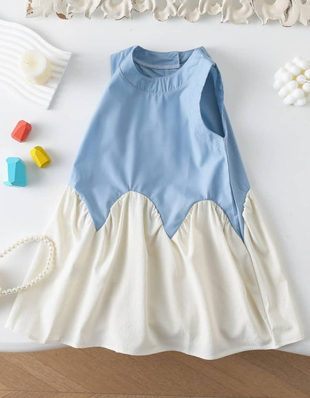 Bicolor Sleeveless Patchwork Dress