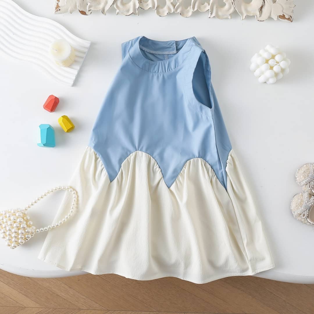 Bicolor Sleeveless Patchwork Dress