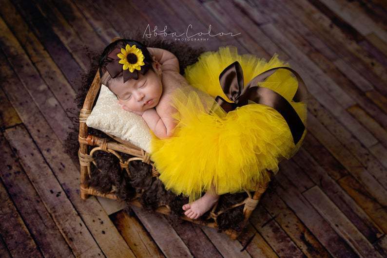 2pcs Newborn Tulle Skirt and Headband