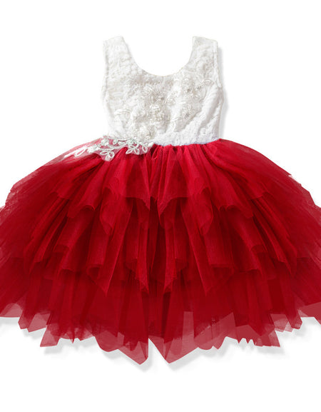 Embroidered Lace Tutu Princess Dress