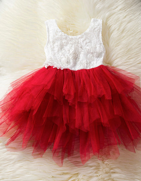Embroidered Lace Tutu Princess Dress