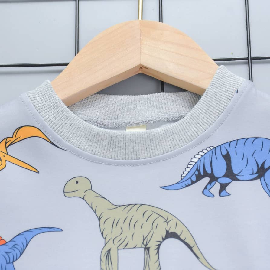 Dinosaurs 2piece Sweatshirt & Pants Set